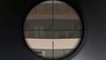 2023 08 28 Falcon aim zoom.jpg